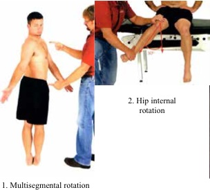 Changing Body - Health Plus Chiropractic